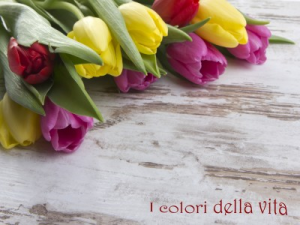 tvt colori della vita